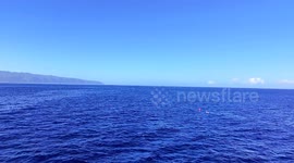 Drone footage of Shark Dive Boat in Hawaii