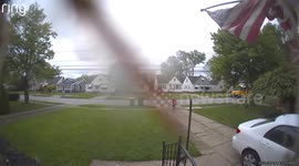 Young Girl Gets Swarmed by Midges