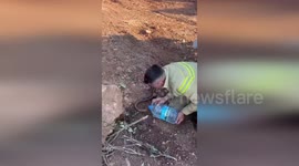 Türkiye: General Directorate Of Forestry Heroes Save Animals With Water Amid Fires And Heat In Turkey