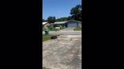 temp