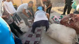 استهداف مجموعة من المواطنين محيط مستشفى المعمداني بمدينة غزة حصريا