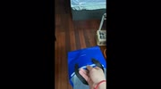 temp