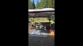 Elkford British Columbia life ! Just a morning coffee with Yogi 