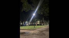 Rats Scurry Across Tightrope