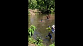 Boy cries as capybara climbs on him in the water in Puyo, Ecuador