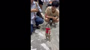 temp