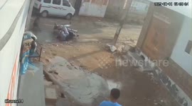 India: In Rajasthan, Wild Boar Knocks Over Motorcycle rider and attacks them, serious injured