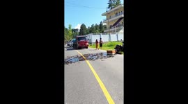 Drivers remove hundreds of eels from road in Indonesia