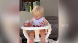 Hungry tot casually eats fly during snack time
