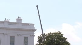 US: Flagpole funded by Trump placed on White House North Lawn