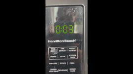 My Son Tried to Cook an Egg in the Microwave