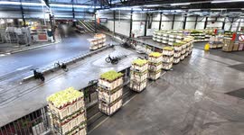 Thousands of flower pallets move like clockwork through this automated hub