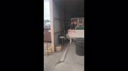 temp