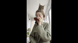 While I'm having breakfast, my cat decides to join me by climbing on top of my head.