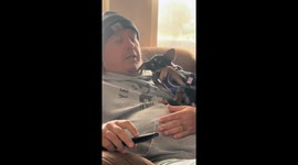 Dog covers eyes on cue during movie in Nordheim, United States