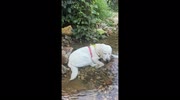 temp