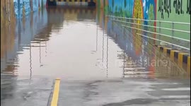 Flooded Underpass in Gandhinagar Echoes with Frogs Amid Monsoon Rains