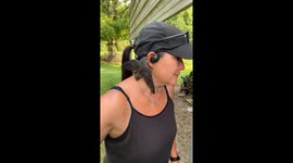 Little Bird Clings to Ear