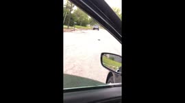 Woman's thoughtful gesture proves that kindness 'shell' never go out of style