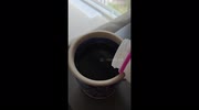 temp