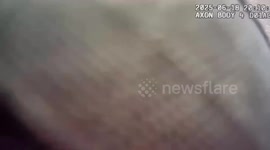 Officers Wrangle Alligator Found Under Car in Texarkana