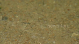 Ulu Bendul Forest Eco Park