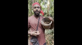 Eating Jungle Grubs with an Indigenous Tribe in Sumatra