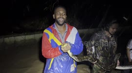 Midnight Python Encounter in the Rainforest of Bali