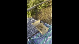 Monkeys Crashed Our Sunset Dinner in Bali