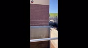 temp