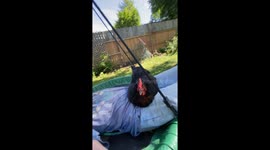 Literally Hanging out together on our garden swing my pet hen Chickaletta and me