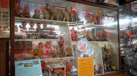 Walk around this museum filled with 300,000 retro toys