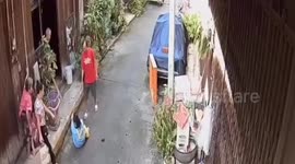 Monitor lizard dashes through crowd knocking over pensioner in Thailand