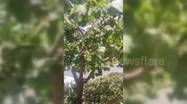 Iran: Israeli Airstrikes Hit Iranian Army Base in Karaj