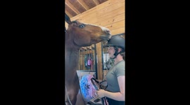 Cheeky Horse Mouths Helmet