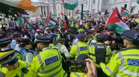 Palestine Action chaos: 'Over 100,000 dead and you're assaulting us instead!'