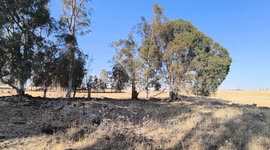 Israel: Iranian Ballistic Missile in Qatzrin 4