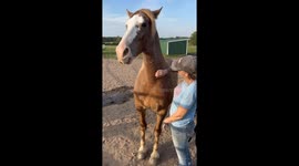 Horse Had Enough Scratching