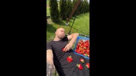 Pure Joy in Strawberry Heaven