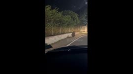Bear try to escape from car passengers, ending laughing, video from Wellington Gymkhana Club - dssc Road, Coonoor, Tamilnadu state of India