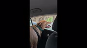 temp