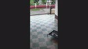 temp