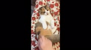 temp