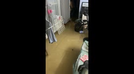 Man catches fish inside flooded home in Guangdong, China