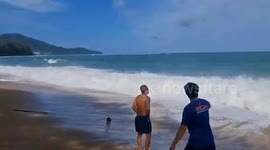 Firefighters rescue hapless sea turtle stuck in fishing net