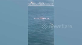 Paddle boarders swept out to shark-infested sea during strong wind