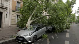 France: Storms wreak havoc in Paris, leave 2 dead, dozens injured across France