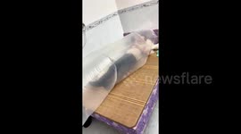 Man builds indoor wind tunnel system to combat summer heat in China