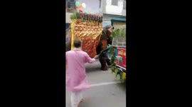 Rath Yatra scare in Ahmedabad: Elephant runs amok near Khadia, tranquilised and isolated