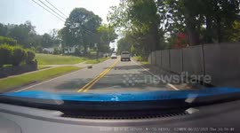 Tree Falling on Driver's Ed Car